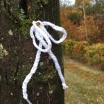 Troostwandeling rond Allerzielen