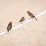 Bezinning op beleid en visie