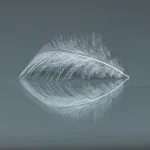 Doe mee met fototentoonstelling ‘Veerbaarheid’