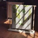 Onderweg naar een Groene Zwaan