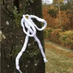 De maand november is een maand van gedenken.